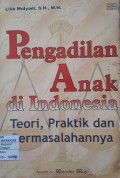 PENGADILAN ANAK DI INDONESIA: TEORI, PRAKTEK DAN PERMASALAHANNYA